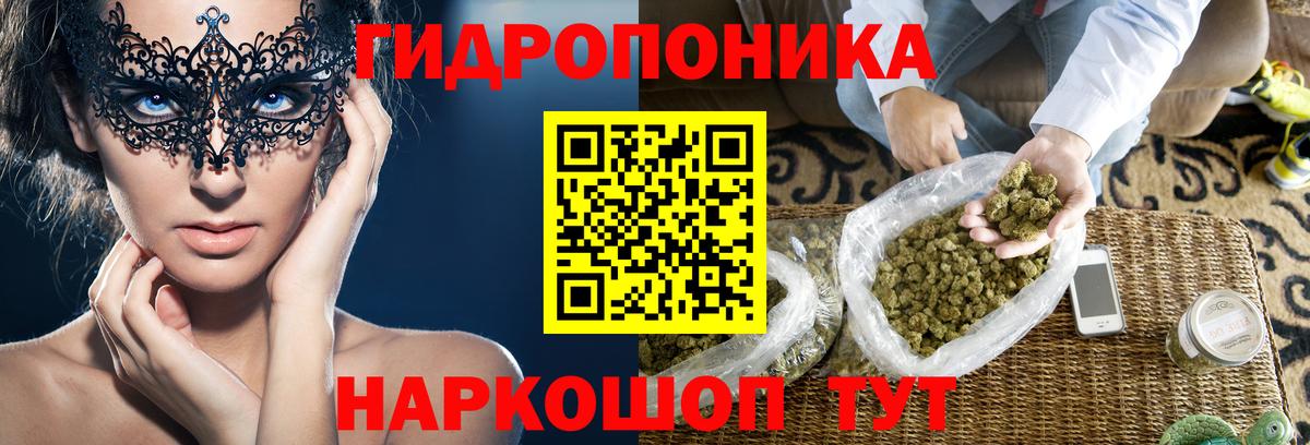 Конопля сатива  МАРИХУАНА планчик  Балтийск  Марихуана Bruce Banner  Вход с VPN 